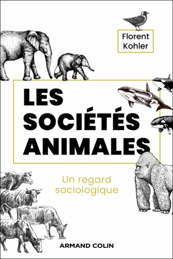 Les sociétés animales – Un regard sociologique
